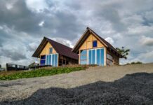 Tips for Enjoying Wine Tours Wine Tours