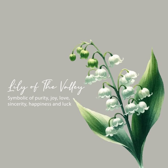 Lily of the valley significance