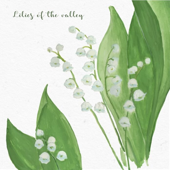 Lily of the valley garden