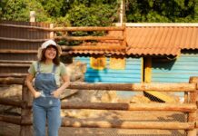 Farm Sheds: How to Choose the Right Size for Your Needs Farm Sheds: How to Choose the Right Size for Your Needs